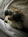 Little bear in Ray-Bans.jpeg